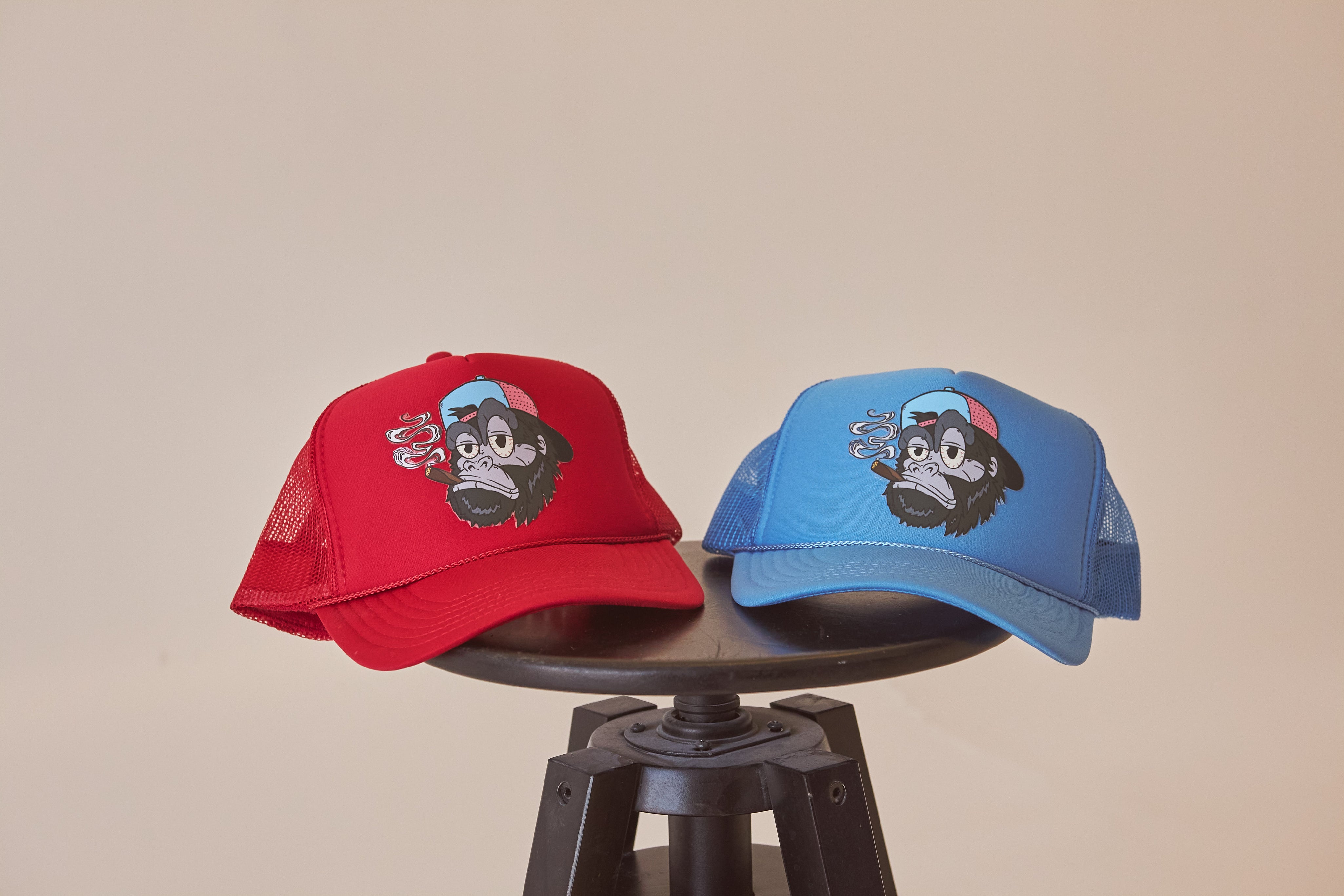 GAWRILLA Trucker
